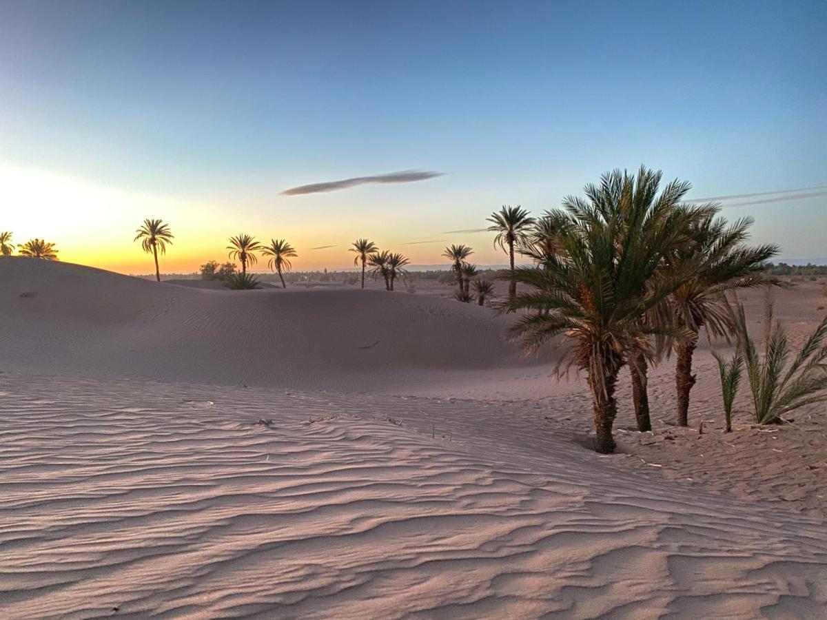 Camp Auberge Sahara Marokko M'Hamid Eksteriør bilde