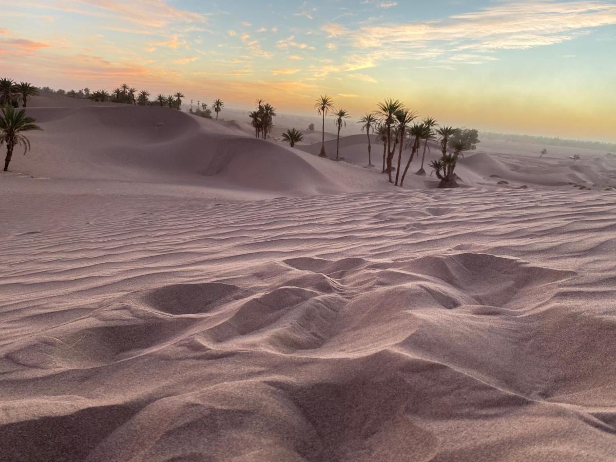 Camp Auberge Sahara Marokko M'Hamid Eksteriør bilde