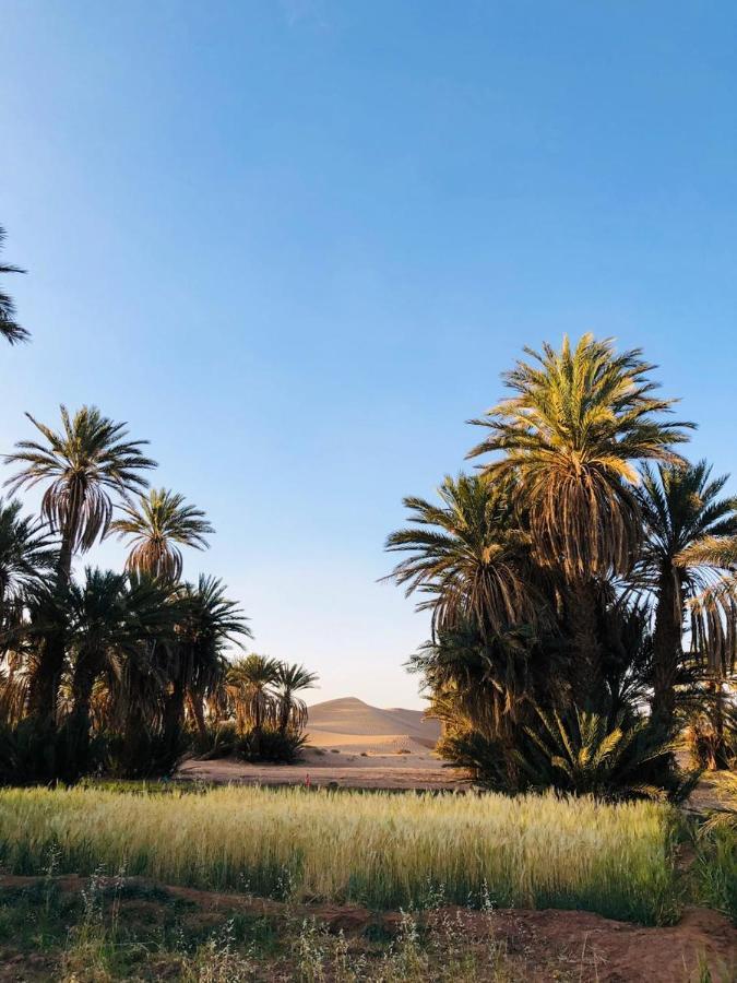 Camp Auberge Sahara Marokko M'Hamid Eksteriør bilde